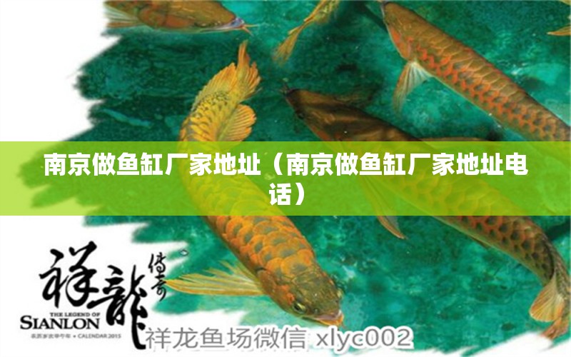 南京做魚缸廠家地址（南京做魚缸廠家地址電話） 其他品牌魚缸