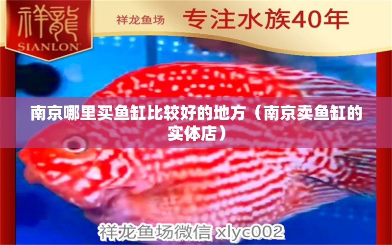 南京哪里買魚缸比較好的地方（南京賣魚缸的實體店） 愛龍仕 第1張