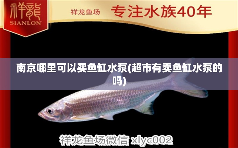 南京哪里可以買魚缸水泵(超市有賣魚缸水泵的嗎) 魚缸水泵