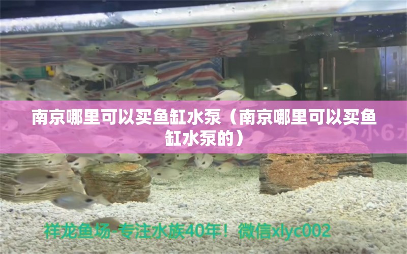 南京哪里可以買魚缸水泵（南京哪里可以買魚缸水泵的） 魚缸水泵