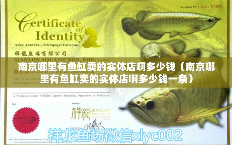 南京哪里有魚缸賣的實體店啊多少錢（南京哪里有魚缸賣的實體店啊多少錢一條）