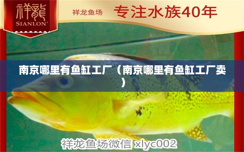 南京哪里有魚(yú)缸工廠（南京哪里有魚(yú)缸工廠賣(mài)）