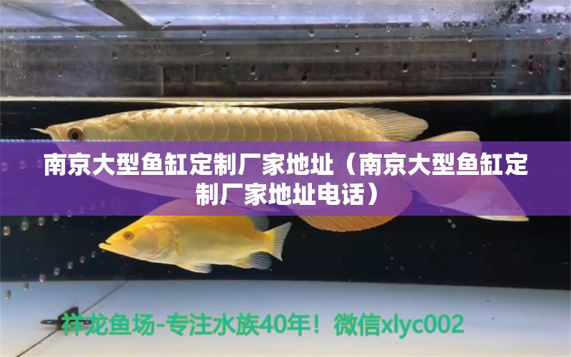 南京大型魚缸定制廠家地址（南京大型魚缸定制廠家地址電話）