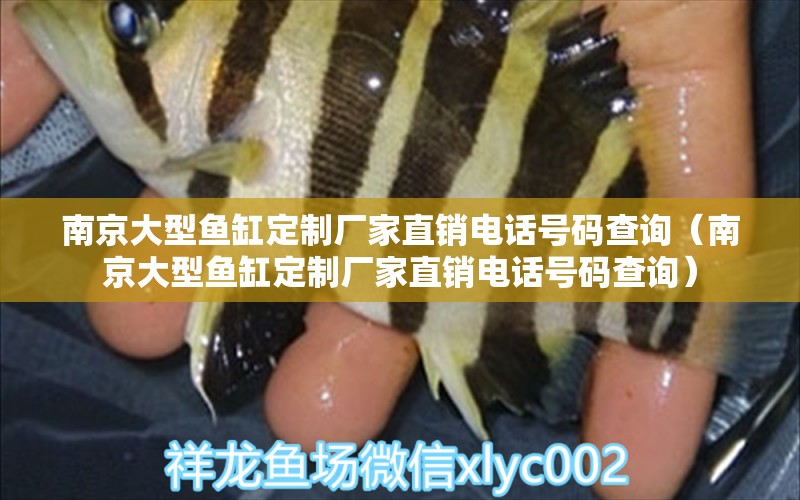 南京大型魚缸定制廠家直銷電話號(hào)碼查詢（南京大型魚缸定制廠家直銷電話號(hào)碼查詢）