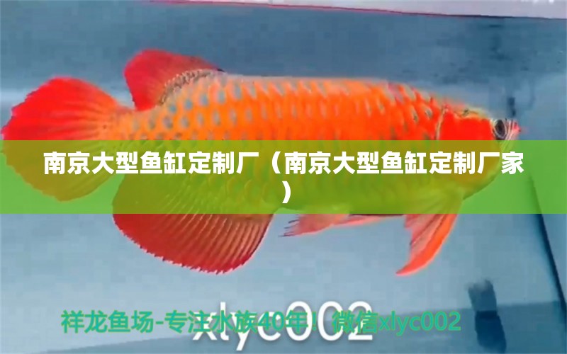 南京大型魚缸定制廠（南京大型魚缸定制廠家）