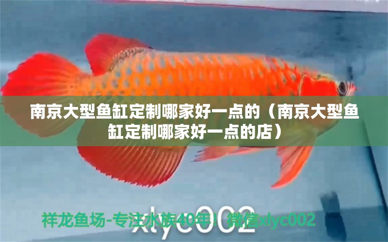 南京大型魚缸定制哪家好一點(diǎn)的（南京大型魚缸定制哪家好一點(diǎn)的店）