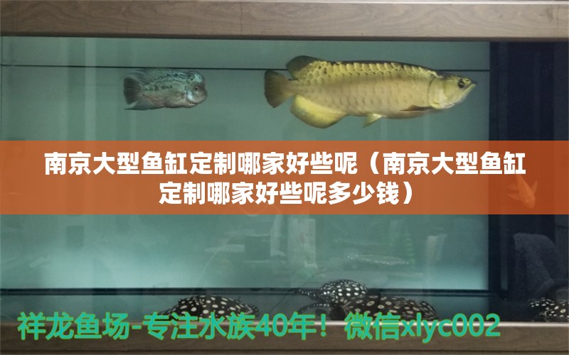 南京大型魚缸定制哪家好些呢（南京大型魚缸定制哪家好些呢多少錢）