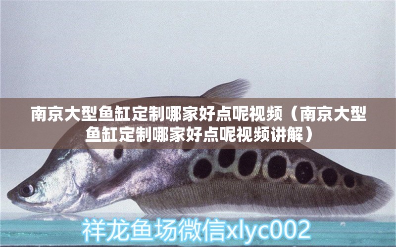 南京大型魚缸定制哪家好點(diǎn)呢視頻（南京大型魚缸定制哪家好點(diǎn)呢視頻講解）