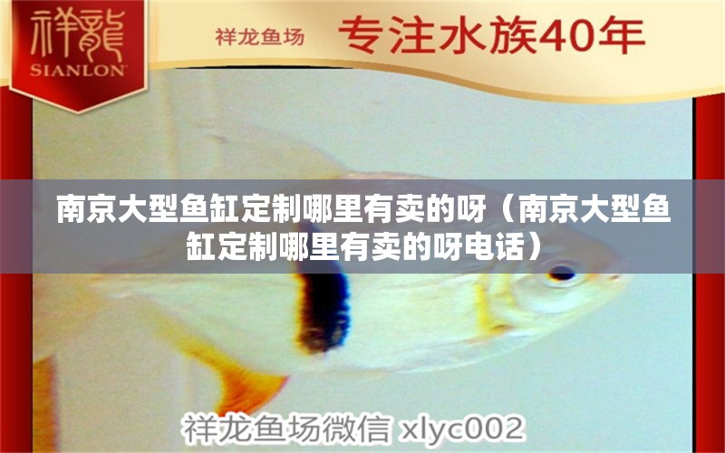 南京大型魚(yú)缸定制哪里有賣(mài)的呀（南京大型魚(yú)缸定制哪里有賣(mài)的呀電話）