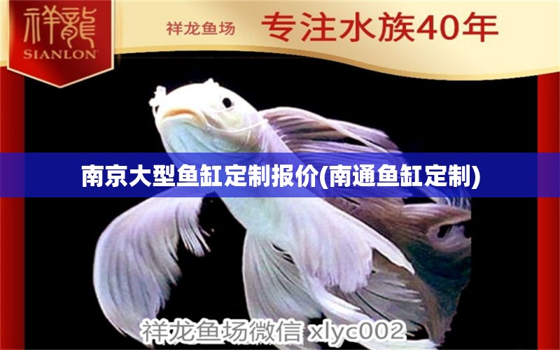 南京大型魚缸定制報價(南通魚缸定制)