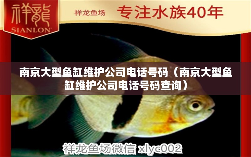 南京大型魚缸維護(hù)公司電話號(hào)碼（南京大型魚缸維護(hù)公司電話號(hào)碼查詢）