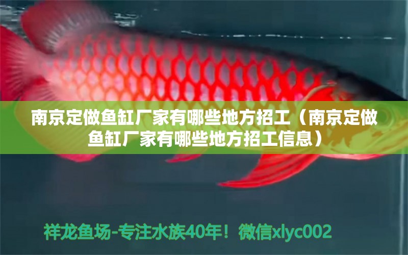 南京定做魚缸廠家有哪些地方招工（南京定做魚缸廠家有哪些地方招工信息） 祥龍水族醫(yī)院