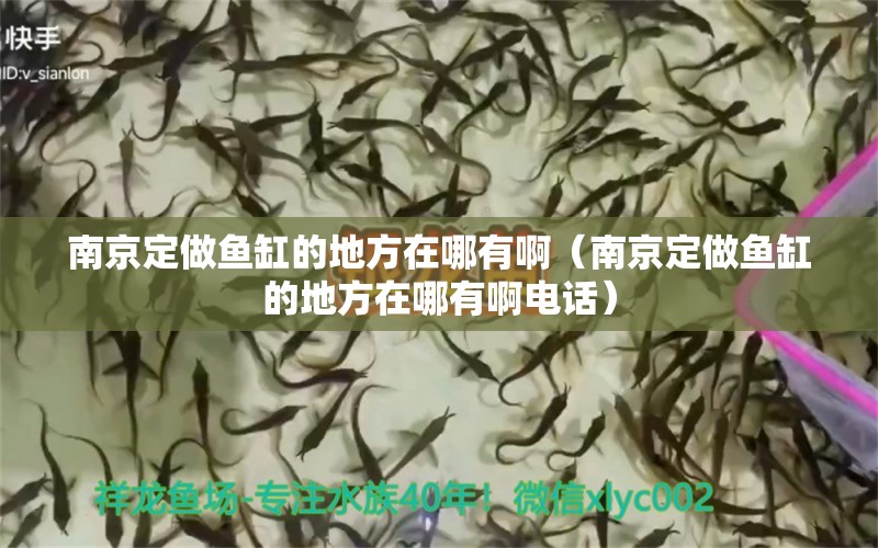 南京定做魚缸的地方在哪有?。暇┒ㄗ鲷~缸的地方在哪有啊電話）