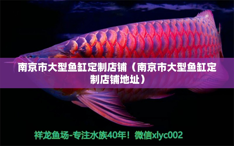 南京市大型魚(yú)缸定制店鋪（南京市大型魚(yú)缸定制店鋪地址）