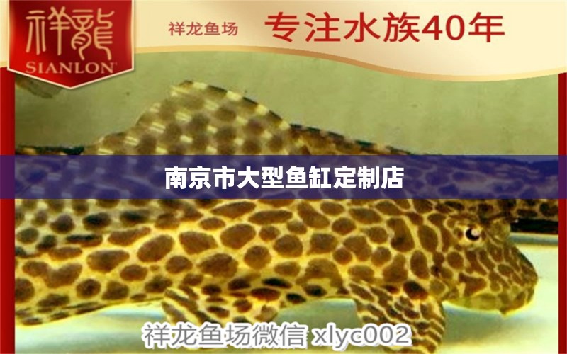 南京市大型魚缸定制店 其他品牌魚缸