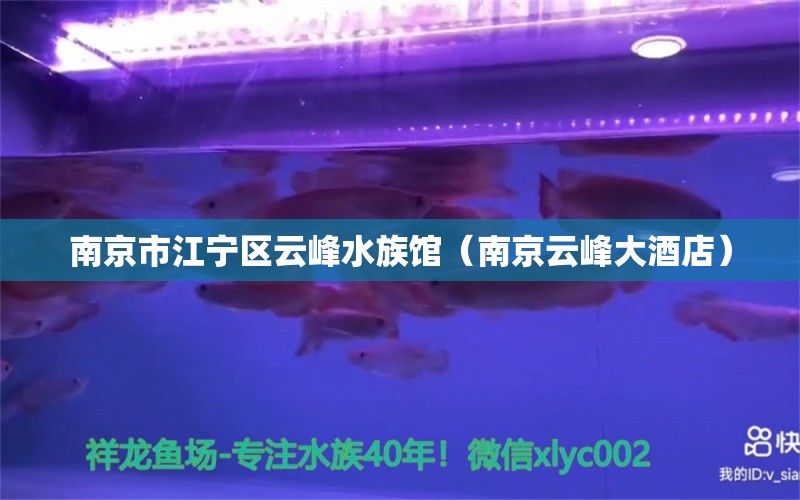 南京市江寧區(qū)云峰水族館（南京云峰大酒店）