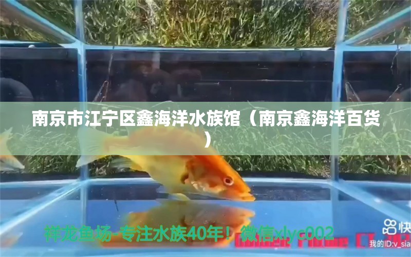 南京市江寧區(qū)鑫海洋水族館（南京鑫海洋百貨）