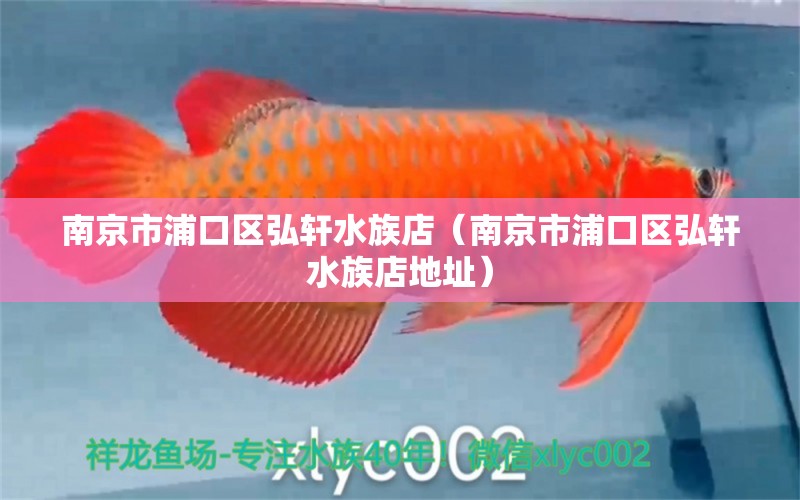 南京市浦口區(qū)弘軒水族店（南京市浦口區(qū)弘軒水族店地址） 全國水族館企業(yè)名錄