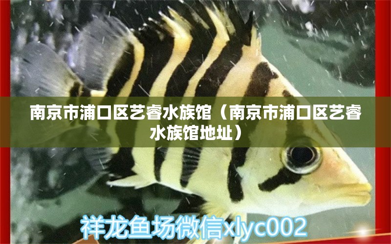 南京市浦口區(qū)藝睿水族館（南京市浦口區(qū)藝睿水族館地址）