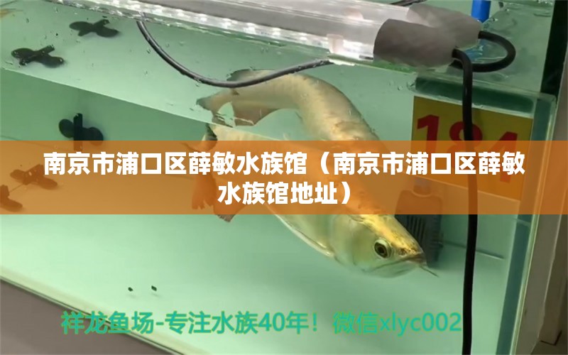 南京市浦口區(qū)薛敏水族館（南京市浦口區(qū)薛敏水族館地址）