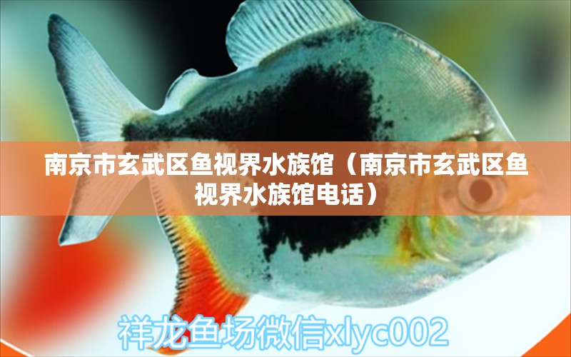 南京市玄武區(qū)魚視界水族館（南京市玄武區(qū)魚視界水族館電話）