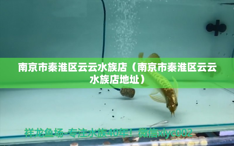 南京市秦淮區(qū)云云水族店（南京市秦淮區(qū)云云水族店地址） 全國水族館企業(yè)名錄