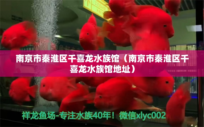 南京市秦淮區(qū)千喜龍水族館（南京市秦淮區(qū)千喜龍水族館地址）