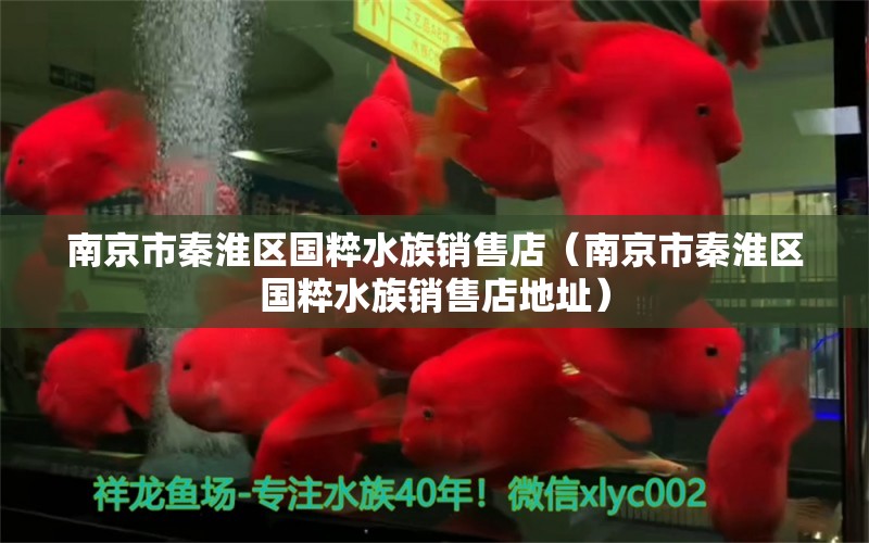 南京市秦淮區(qū)國粹水族銷售店（南京市秦淮區(qū)國粹水族銷售店地址）