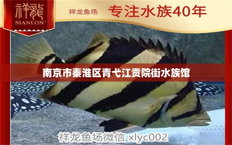 南京市秦淮區(qū)青弋江貢院街水族館