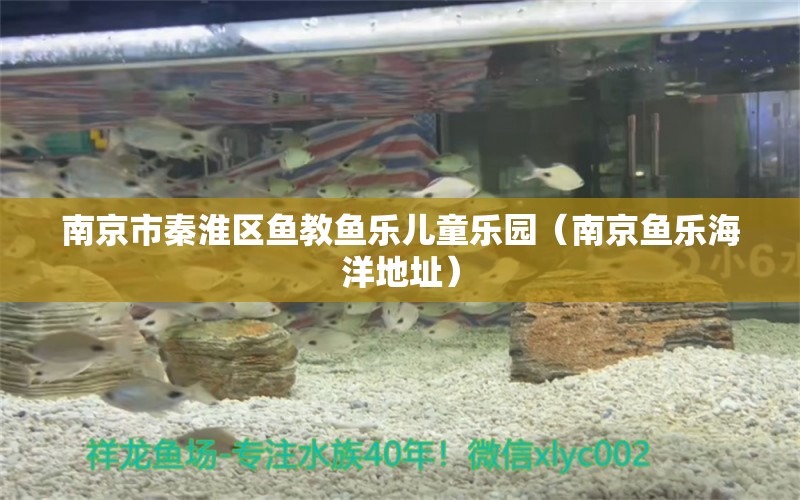 南京市秦淮區(qū)魚教魚樂兒童樂園（南京魚樂海洋地址）