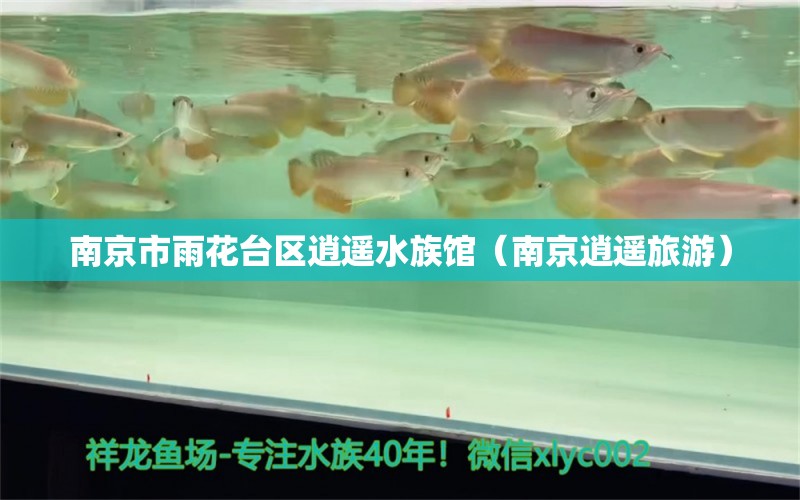 南京市雨花臺(tái)區(qū)逍遙水族館（南京逍遙旅游） 全國(guó)水族館企業(yè)名錄