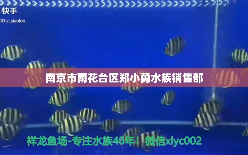 南京市雨花臺區(qū)鄭小勇水族銷售部