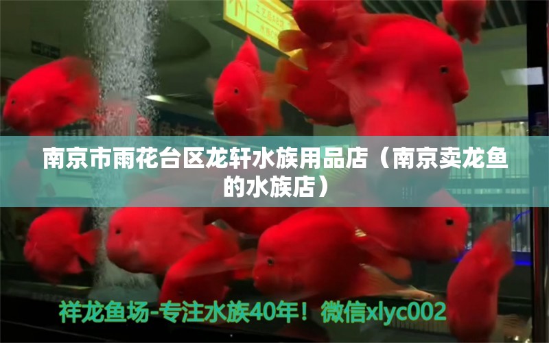 南京市雨花臺(tái)區(qū)龍軒水族用品店（南京賣(mài)龍魚(yú)的水族店） 水族用品