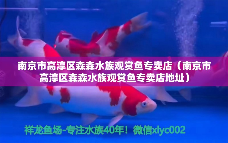 南京市高淳區(qū)森森水族觀賞魚專賣店（南京市高淳區(qū)森森水族觀賞魚專賣店地址）