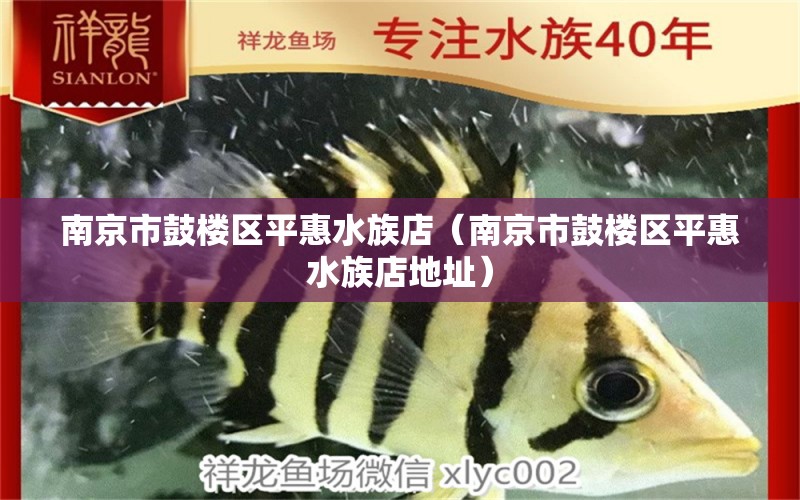 南京市鼓樓區(qū)平惠水族店（南京市鼓樓區(qū)平惠水族店地址） 全國水族館企業(yè)名錄