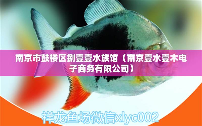 南京市鼓樓區(qū)捌壹壹水族館（南京壹水壹木電子商務(wù)有限公司）