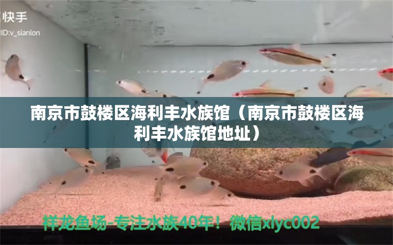 南京市鼓樓區(qū)海利豐水族館（南京市鼓樓區(qū)海利豐水族館地址）