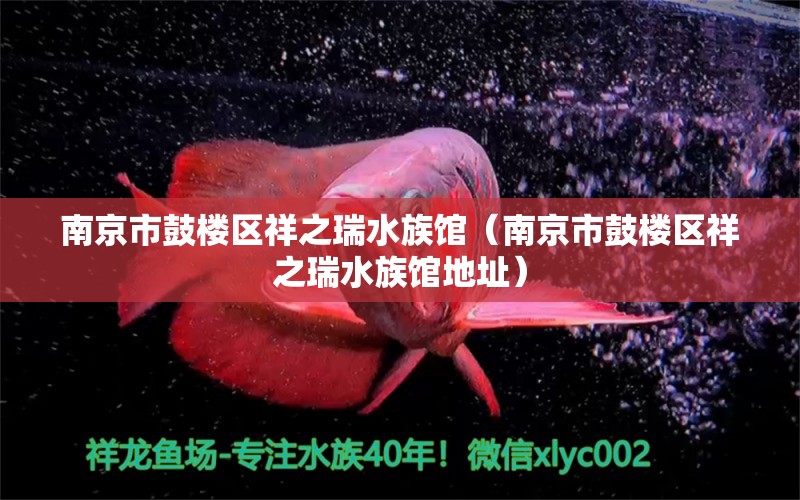 南京市鼓樓區(qū)祥之瑞水族館（南京市鼓樓區(qū)祥之瑞水族館地址） 全國(guó)水族館企業(yè)名錄