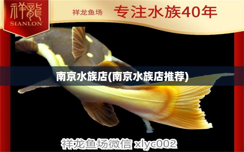 南京水族店(南京水族店推薦) 魚缸水泵 第1張