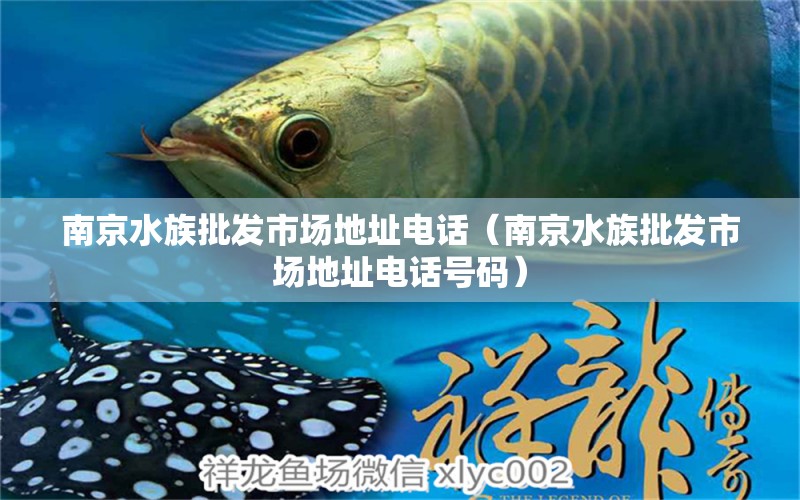 南京水族批發(fā)市場地址電話（南京水族批發(fā)市場地址電話號(hào)碼） 觀賞魚水族批發(fā)市場