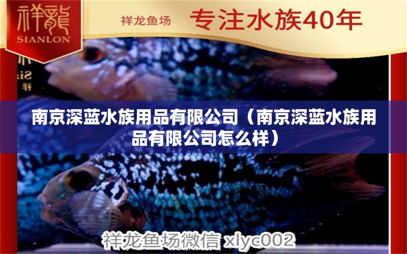 南京深藍(lán)水族用品有限公司（南京深藍(lán)水族用品有限公司怎么樣） 水族用品