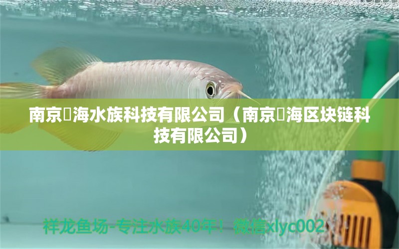 南京澔海水族科技有限公司（南京沄海區(qū)塊鏈科技有限公司）