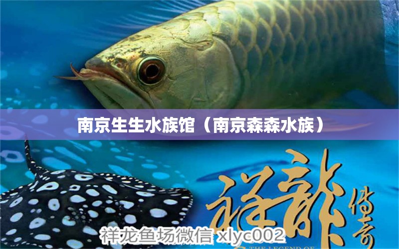 南京生生水族館（南京森森水族） 全國水族館企業(yè)名錄