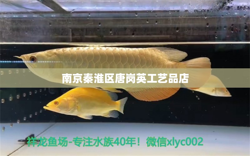 南京秦淮區(qū)唐崗英工藝品店 全國(guó)水族館企業(yè)名錄