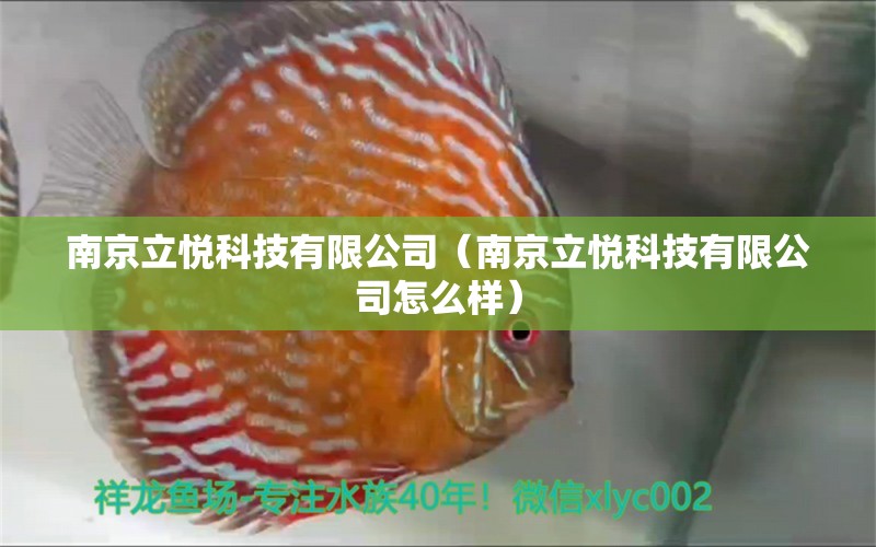 南京立悅科技有限公司（南京立悅科技有限公司怎么樣） 全國水族館企業(yè)名錄