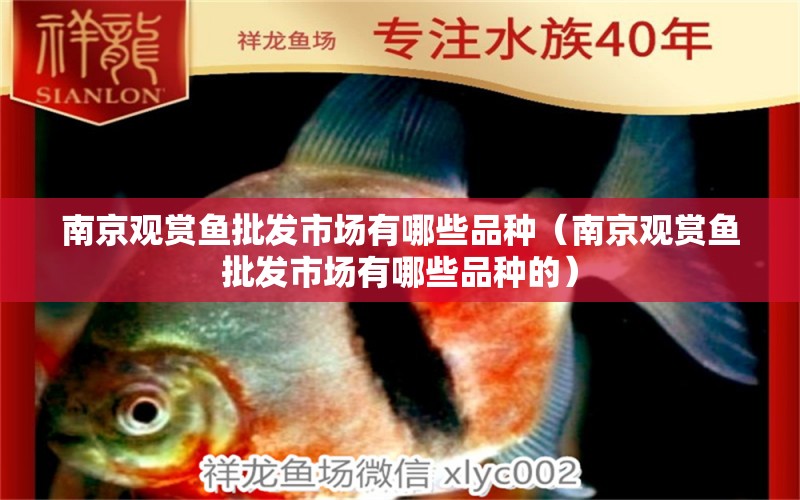 南京觀賞魚(yú)批發(fā)市場(chǎng)有哪些品種（南京觀賞魚(yú)批發(fā)市場(chǎng)有哪些品種的）