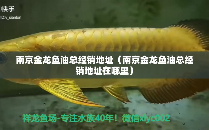 南京金龍魚油總經(jīng)銷地址（南京金龍魚油總經(jīng)銷地址在哪里）