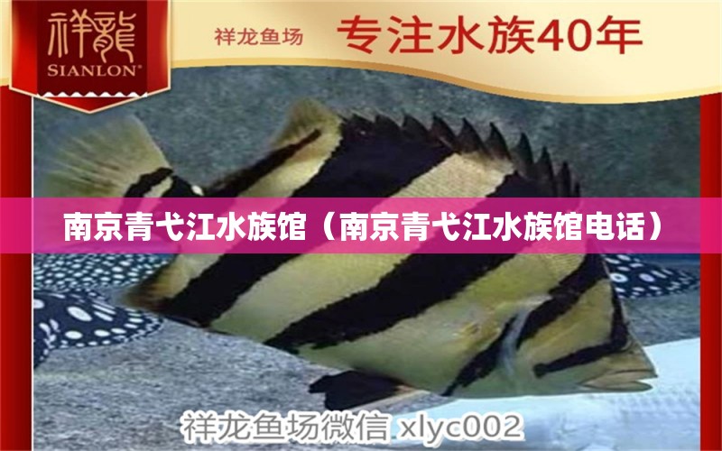 南京青弋江水族館（南京青弋江水族館電話） 全國(guó)水族館企業(yè)名錄