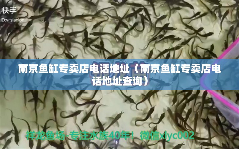 南京魚缸專賣店電話地址（南京魚缸專賣店電話地址查詢） 觀賞魚批發(fā)