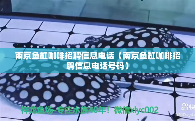 南京魚(yú)缸咖啡招聘信息電話(huà)（南京魚(yú)缸咖啡招聘信息電話(huà)號(hào)碼）